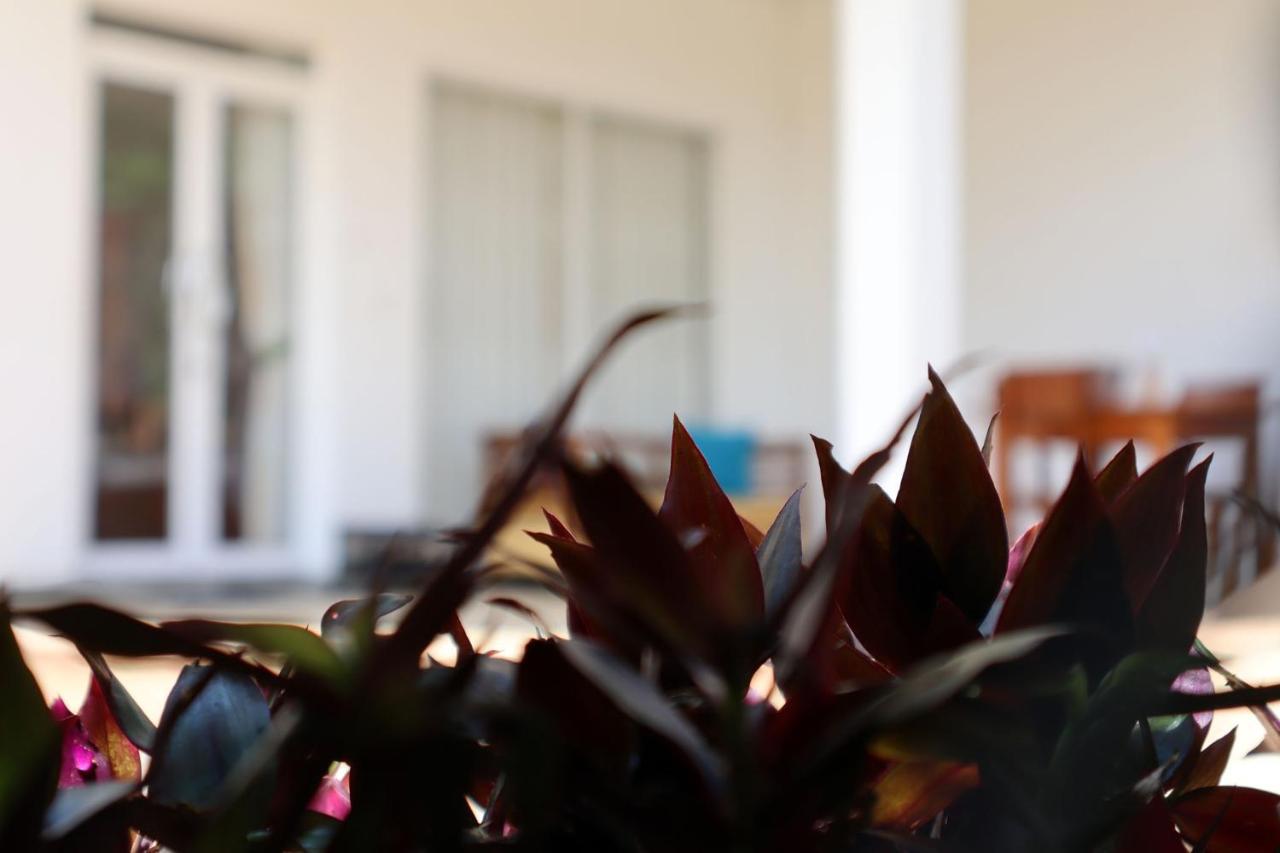 Ella Touch Bed & Breakfast エクステリア 写真