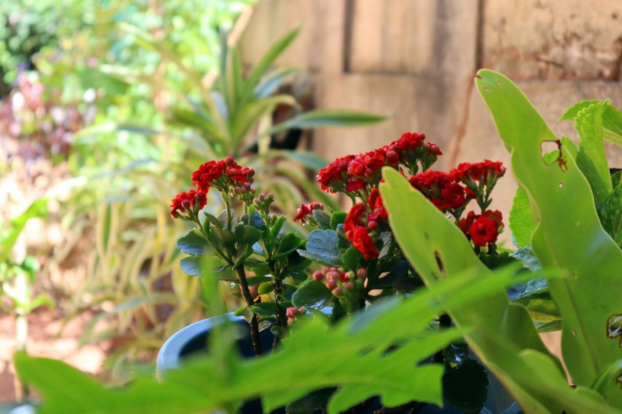 Ella Touch Bed & Breakfast エクステリア 写真